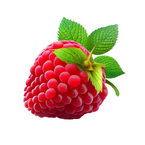 r/raspberry